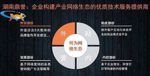 二十年网络营销实战专家谈 国内企业网络营销推广的“道、法、术”